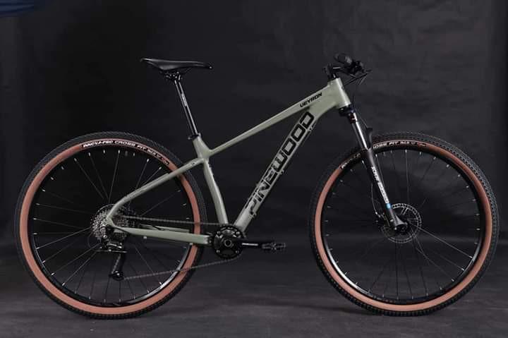 Pinewood 29er store price