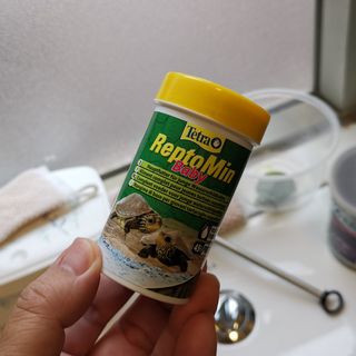 （分類：）位於 。 由 chekhov_turtle 提交（商品編號 1152556048，圖片 1）。簡介： 。