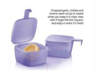 Tupperware Forget me not container