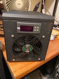 （分類：）位於 。 由 wildrabbit.d1076c7 提交（商品編號 1156325923，圖片 1）。簡介： 。