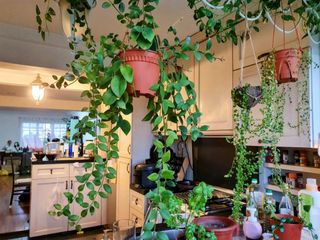(Category: ) located in . Submitted by yelloo (Listing ID 1156255788, Image 1). Description: .