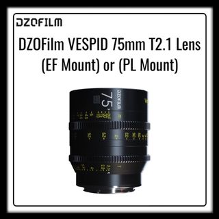 DZOFILM Collection item 2
