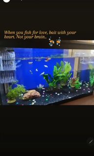 (Category: ) located in . Submitted by benicetoall (Listing ID 1156156065, Image 1). Description: .