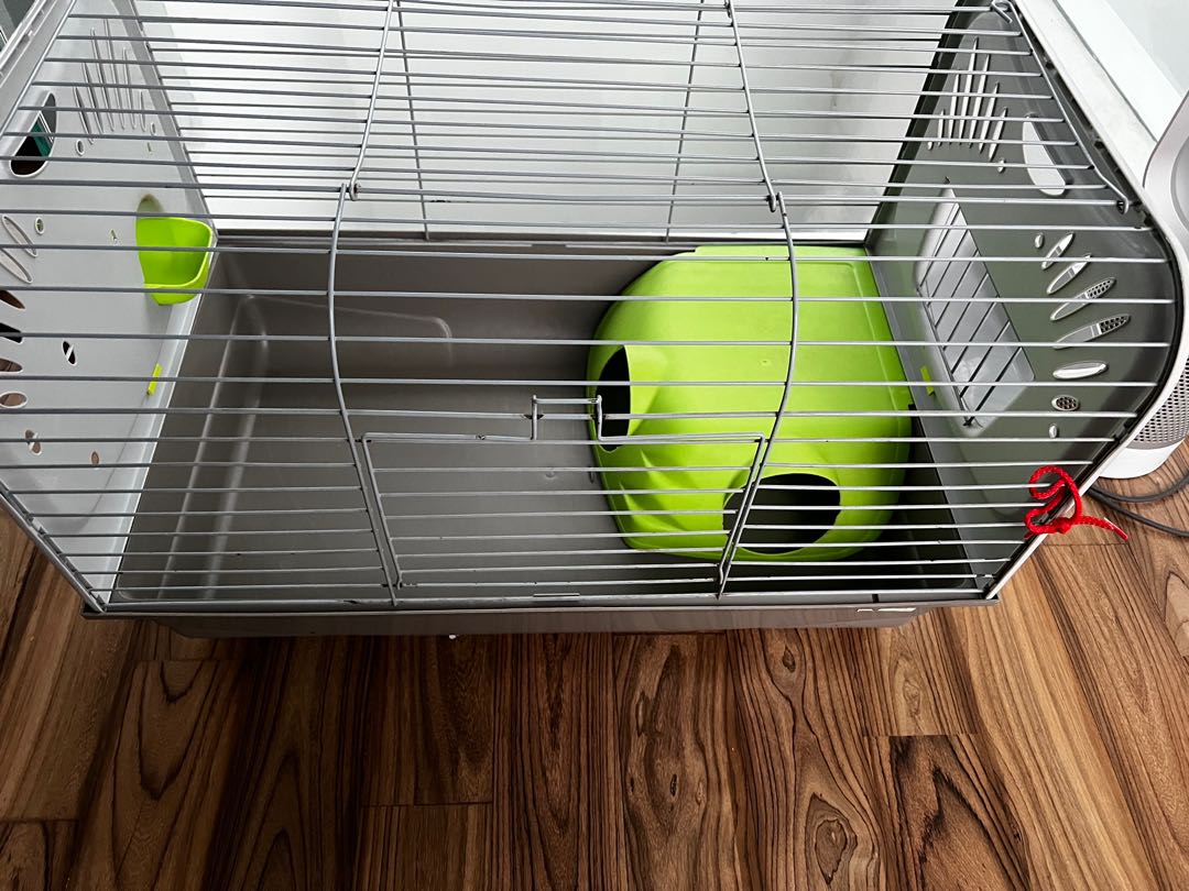 Guinea pig / small animal cage + bedding & hay, Pet Supplies, Homes & Other Pet Accessories on