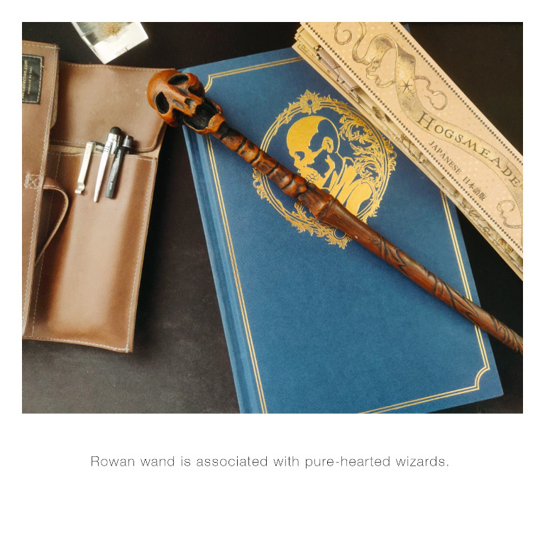 Harry Potter Interactive Ollivanders Rowan Wand, Hobbies & Toys