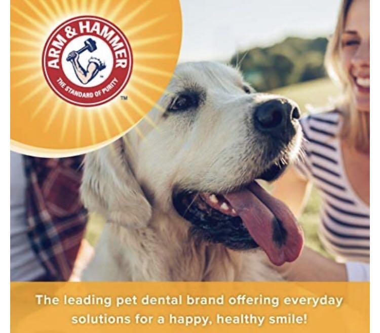 Arm and hammer dog toothpaste vanilla ginger best sale