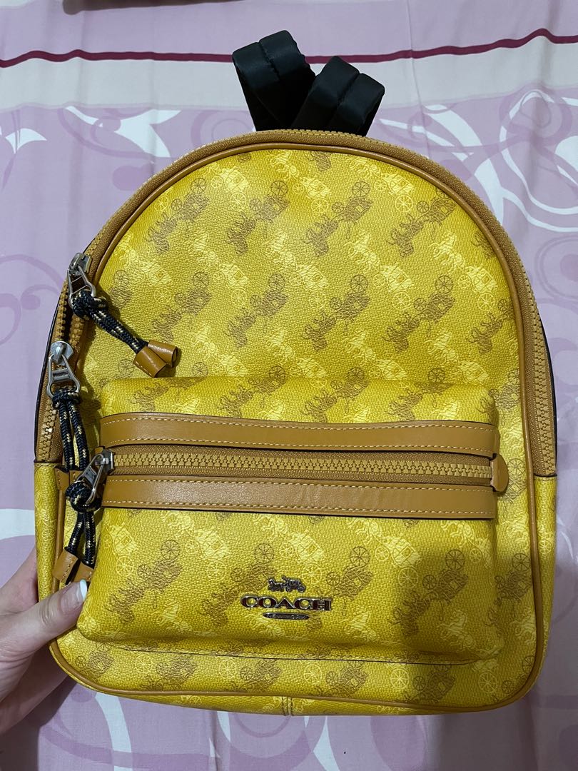 Coach vale medium charlie backpack on sale