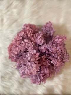 （分類：）位於 。 由 cnchristy 提交（商品編號 1156482204，圖片 1）。簡介： 。