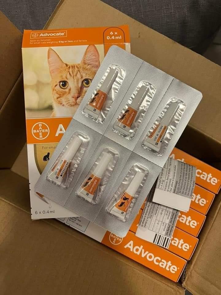 Advocate For Cat Pet Supplies Health Grooming On Carousell