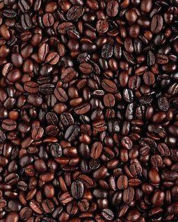 Benguet Coffee Beans
