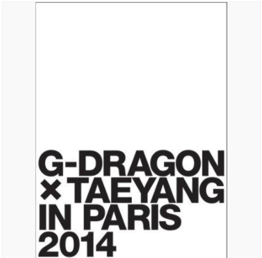 Bigbang G-Dragon x Taeyang in Paris 2014 photobook + DVD 連