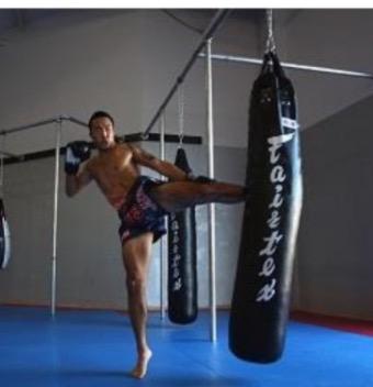 Everlast muay sales thai heavy bag