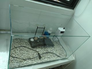 (Category: ) located in . Submitted by clo1fr (Listing ID 1156394306, Image 1). Description: .