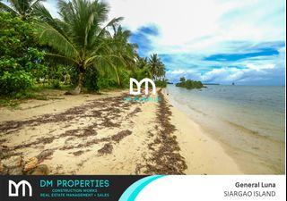 For Sale: Beachfront Lot and Lush Lagoon in Brgy. Malinao, General Luna, Siargao Island