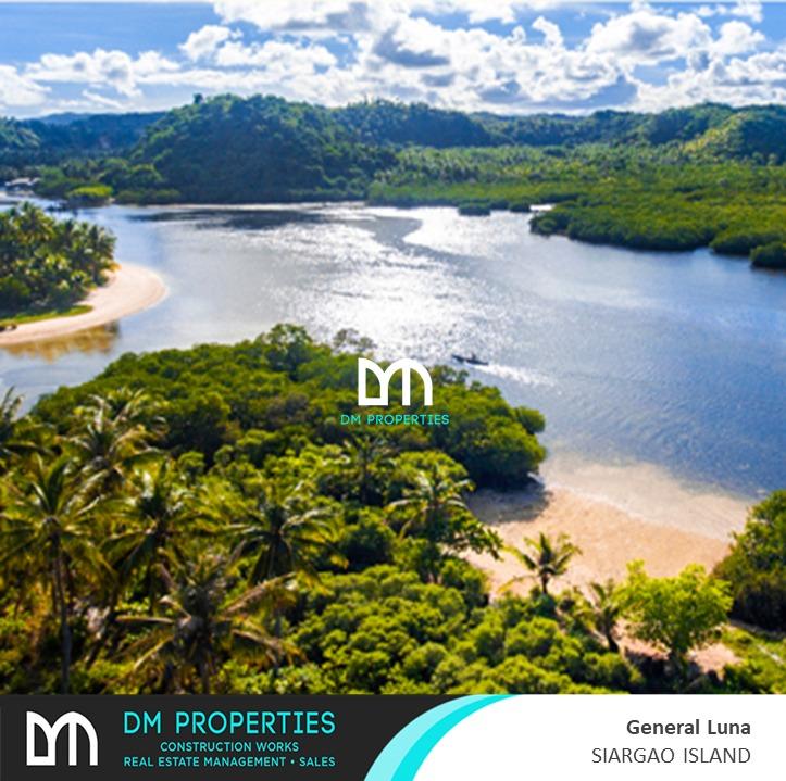 For Sale Beachfront Lot and Lush Lagoon in Brgy. Malinao, General Luna