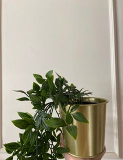 （分類：）位於 。 由 winkychann 提交（商品編號 1156401352，圖片 1）。簡介： 。