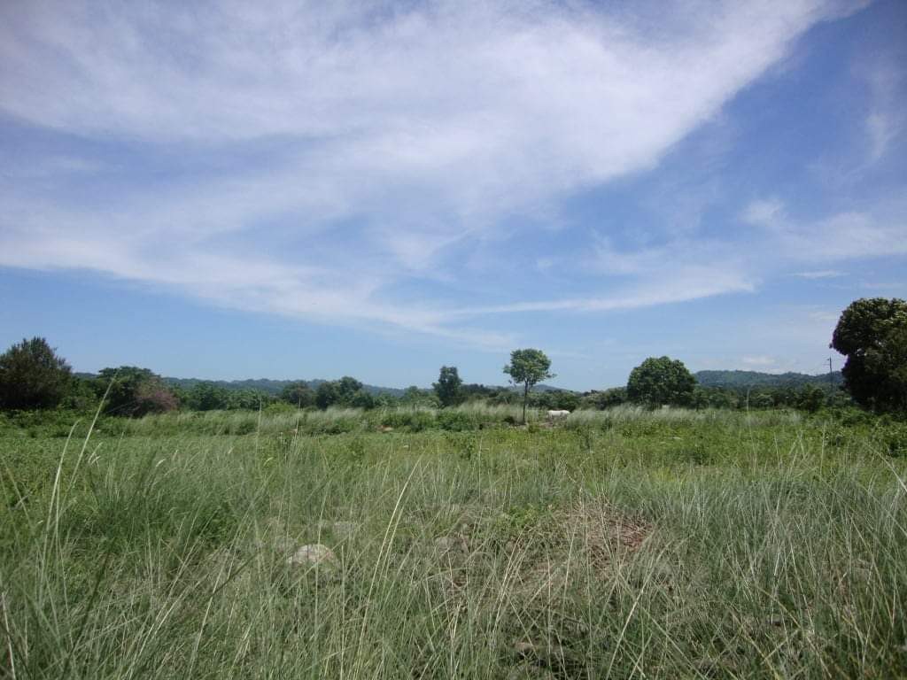 LA UNION LOTS, Property, For Sale, Lot on Carousell
