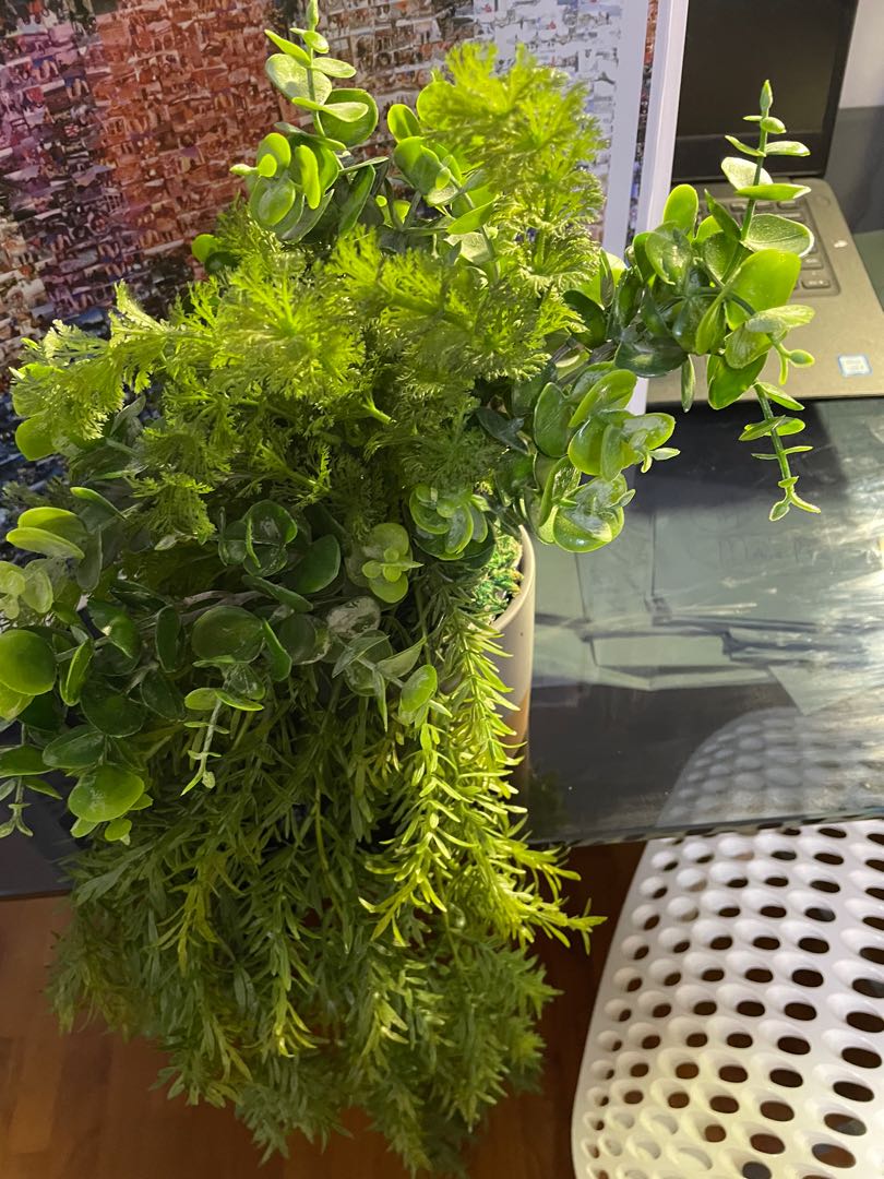 Plants for edge decor/ artificial plant / home decor , Furniture & Home