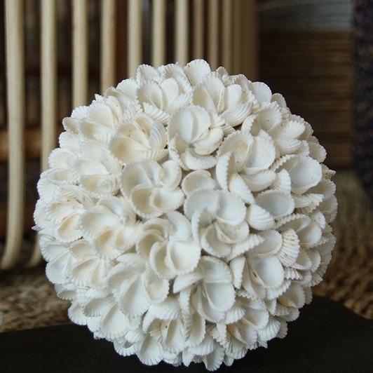 Styled Sea Shell Balls (10 & 12cm Diameter Available) BBS0599 ...