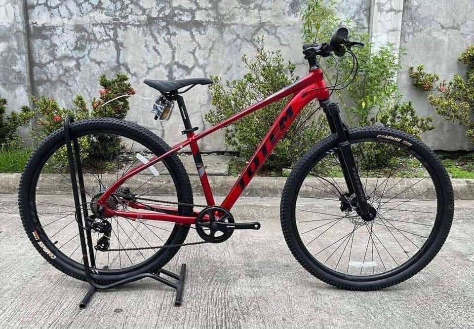 Totem 29er online