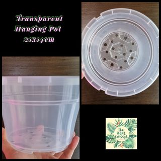 (Category: ) located in . Submitted by theplantconcept (Listing ID 1156414259, Image 1). Description: .