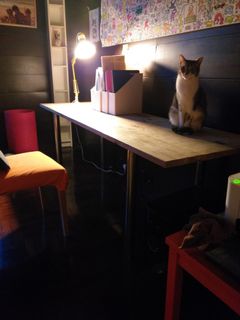 （分類：）位於 。 由 hkong22 提交（商品編號 1156450552，圖片 1）。簡介： 。