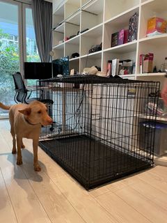 （分類：）位於 。 由 rupert10 提交（商品編號 1156374204，圖片 1）。簡介： 。