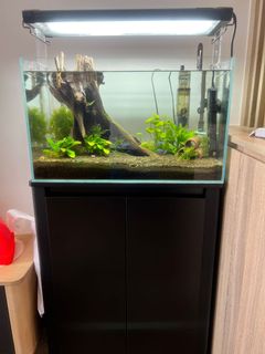 （分類：）位於 。 由 simonranch 提交（商品編號 1156615311，圖片 1）。簡介： 。