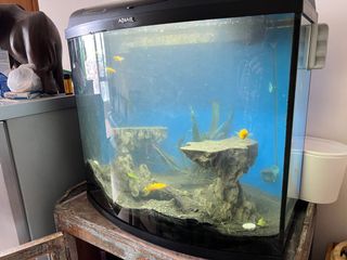 (Category: ) located in . Submitted by laurent_fr (Listing ID 1156634045, Image 1). Description: .