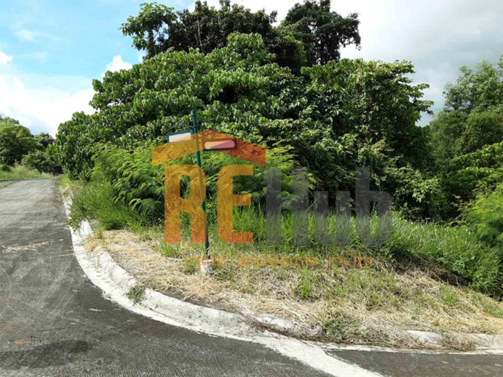 For Sale Vacant Lot San Isidro Antipolo, Property, For Sale, Lot on