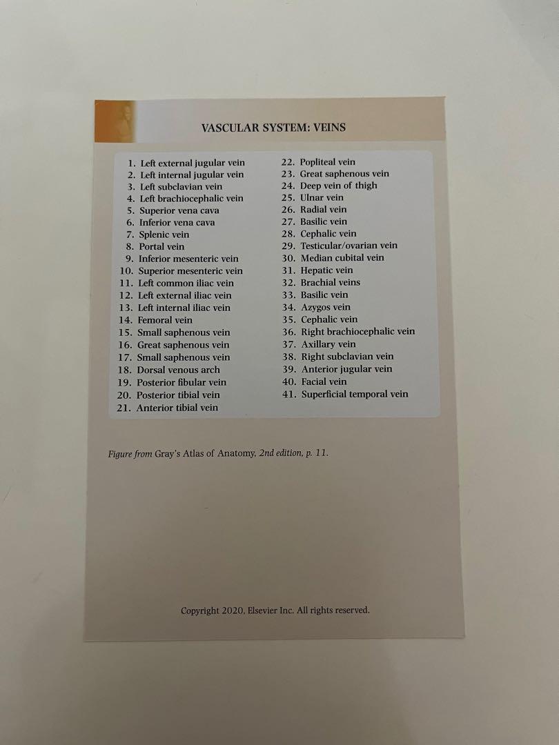 Grey’s anatomy flash cards, 興趣及遊戲, 書本 & 文具, 教科書 Carousell