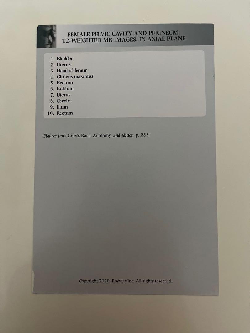 Grey’s anatomy flash cards, 興趣及遊戲, 書本 & 文具, 教科書 Carousell