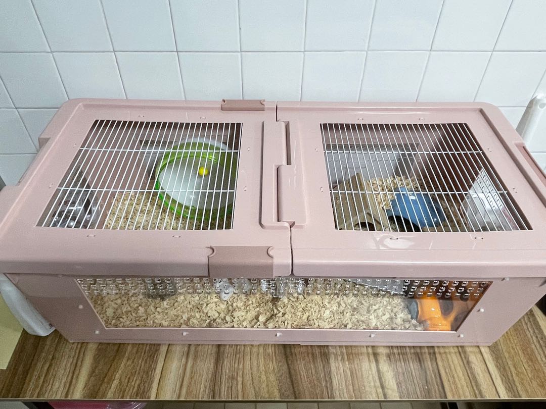 Double hamster cage with divider hot sale