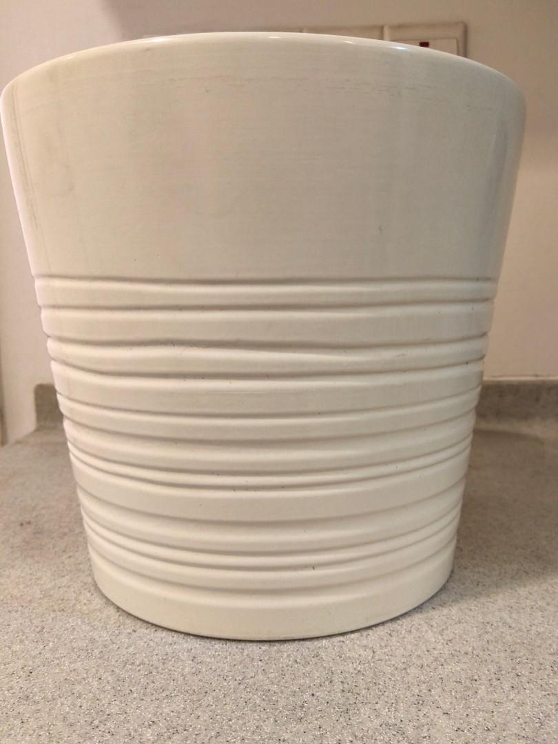 Muskot plant pot online