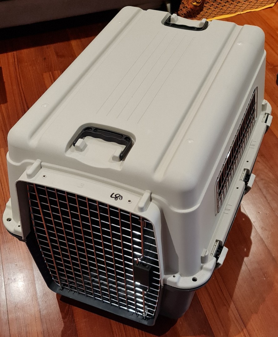 Pet Carrier XL, Airline Approved, Pet Supplies, Homes & Other Pet