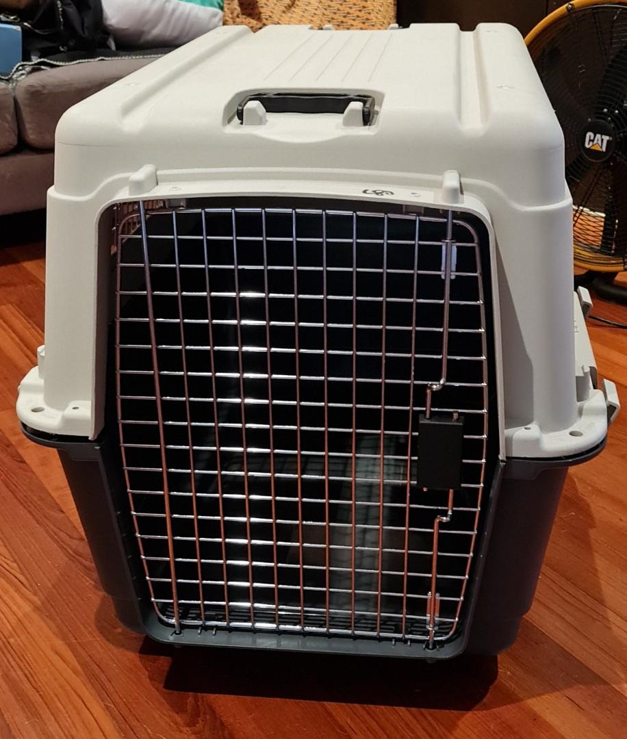 Pet Carrier XL, Airline Approved, Pet Supplies, Homes & Other Pet