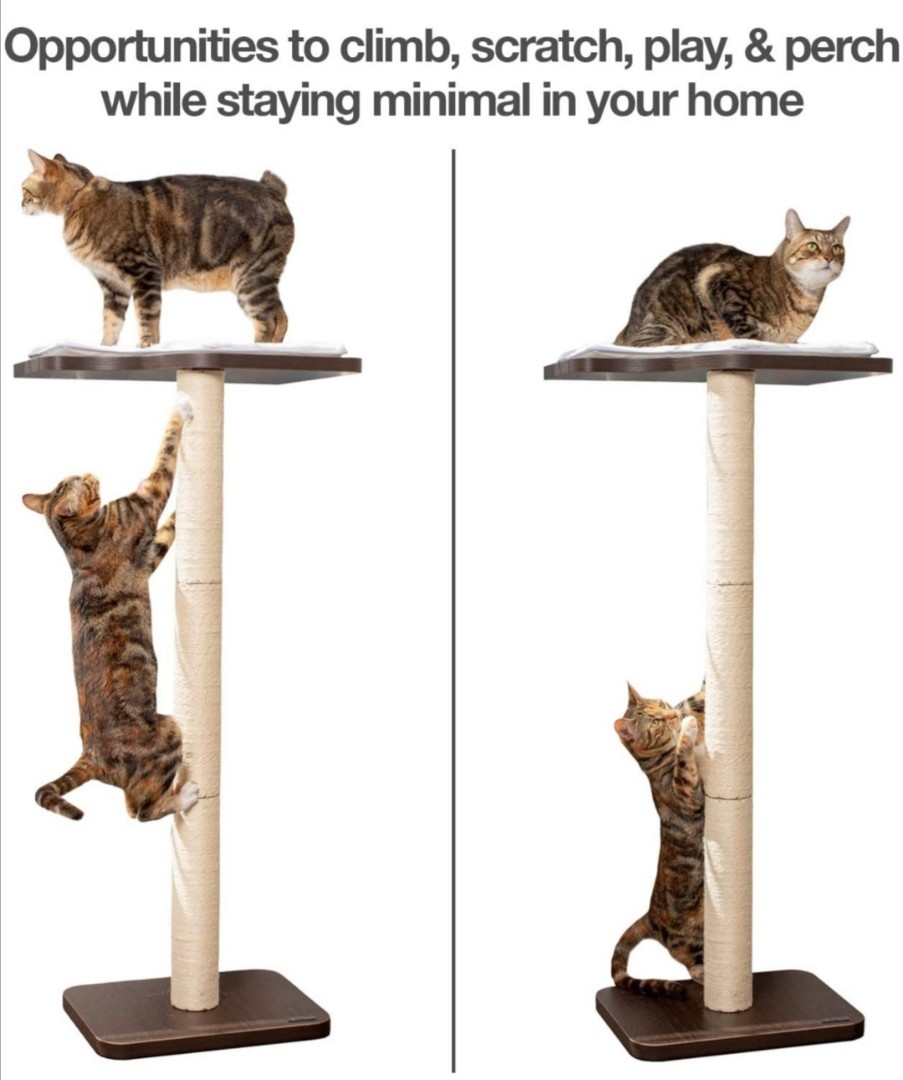 Petfusion hotsell cat tree