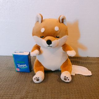 （分類：）位於 。 由 tracewty 提交（商品編號 1156594241，圖片 1）。簡介： 。