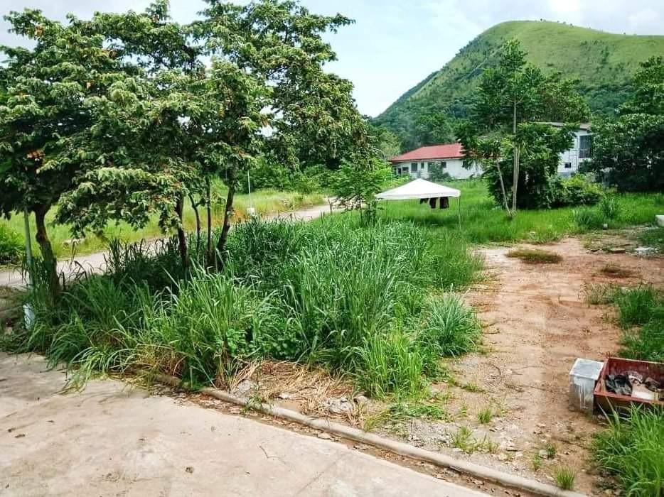 RUSH Lot for sale cOron palawan, Property, For Sale, Lot on Carousell