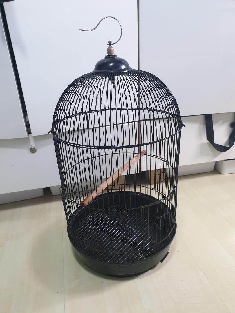 classic round bird cage