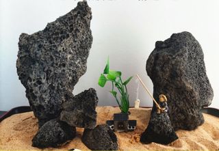 Aquarium Planted Tank  Collection item 3