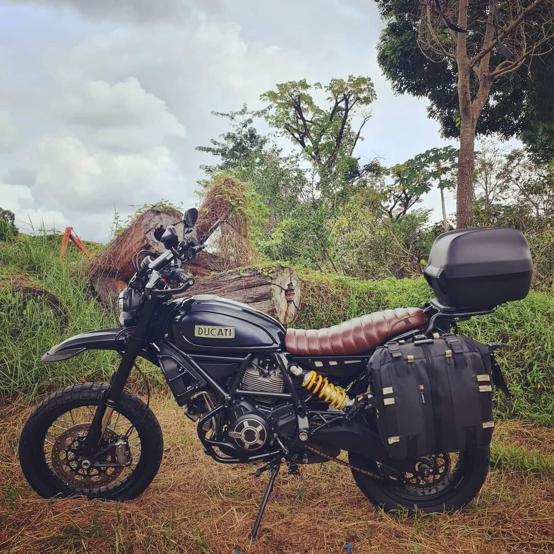Ducati desert sale sled for sale