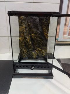 （分類：）位於 。 由 alvincaptain11 提交（商品編號 1156902048，圖片 1）。簡介： 。