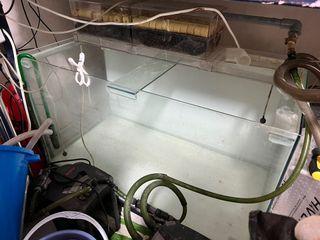 Fish Tank 3ft