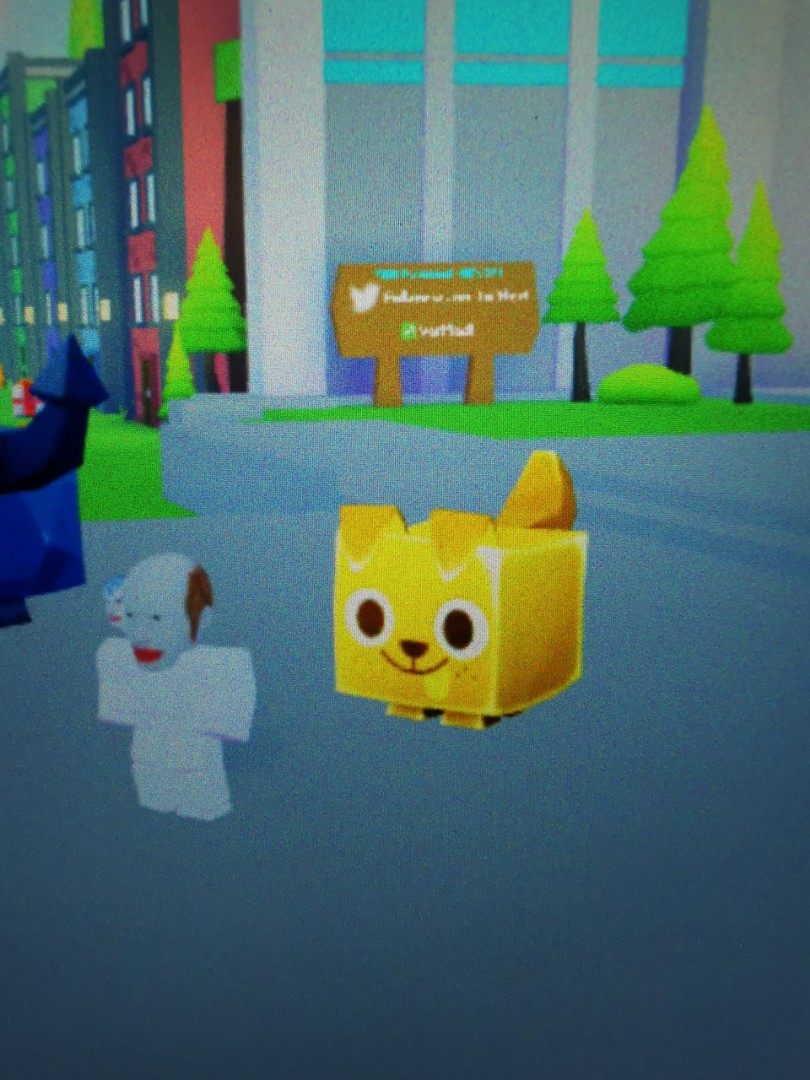 Gold Huge Dogpet simulator x, Video Gaming, Gaming Accessories, In