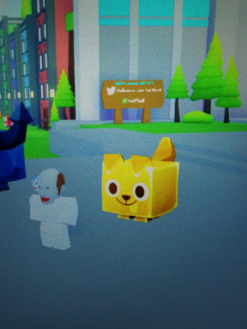 Gold Huge Dogpet simulator x, Video Gaming, Gaming Accessories, In