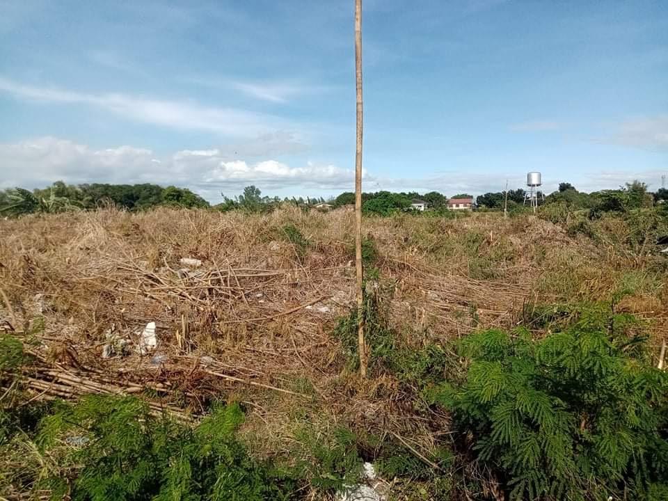 Molino Blvd., Bacoor, Niog Cavite Lot For Sale, Property, For Sale, Lot