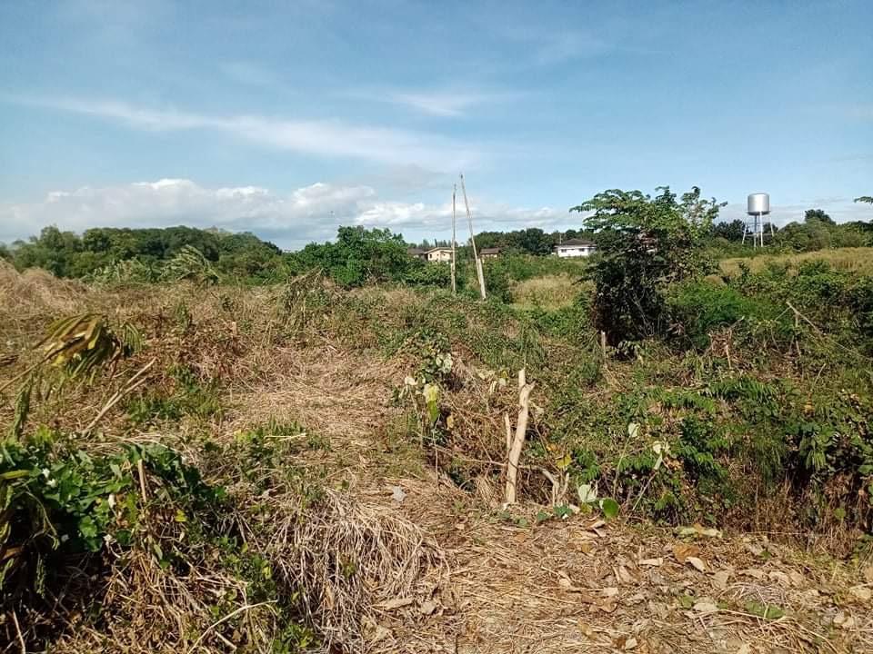 Molino Blvd., Bacoor, Niog Cavite Lot For Sale, Property, For Sale, Lot