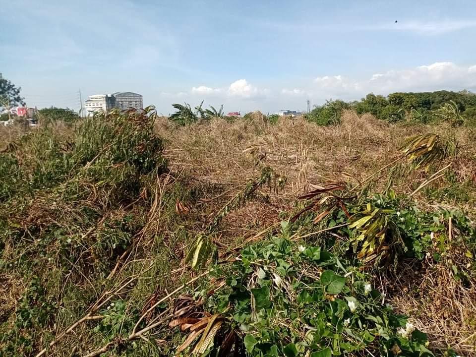 Molino Blvd., Bacoor, Niog Cavite Lot For Sale, Property, For Sale, Lot