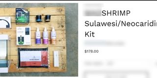 (Category: ) located in . Submitted by dr34mlngx (Listing ID 1156755745, Image 1). Description: .